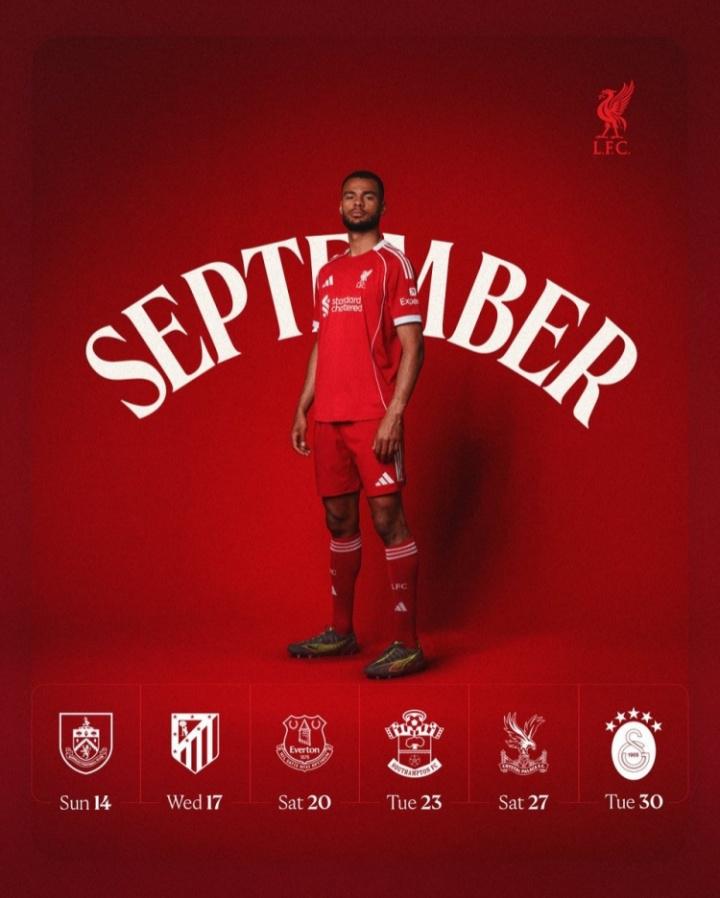 切尔西, net, 亚尔 切尔西, net, 亚尔